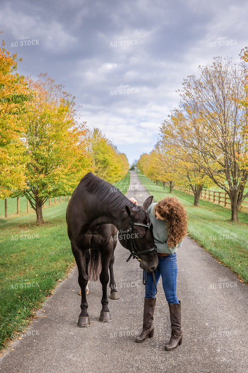 Female Equestrian with Horses 270401