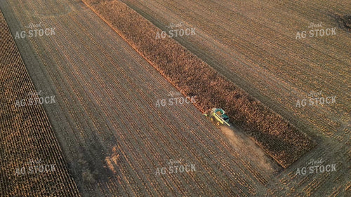 Aerial of Corn Harvest 268273