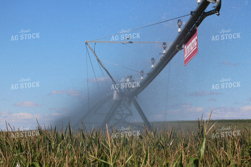 Irrigation System in Corn Field 82091