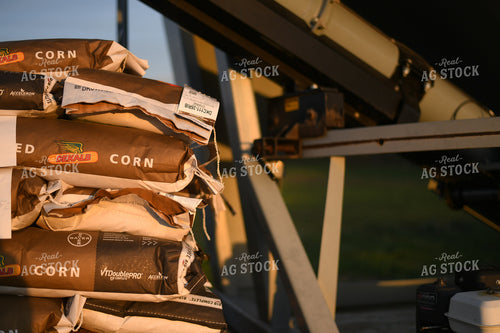 Seed Corn Bags 191005