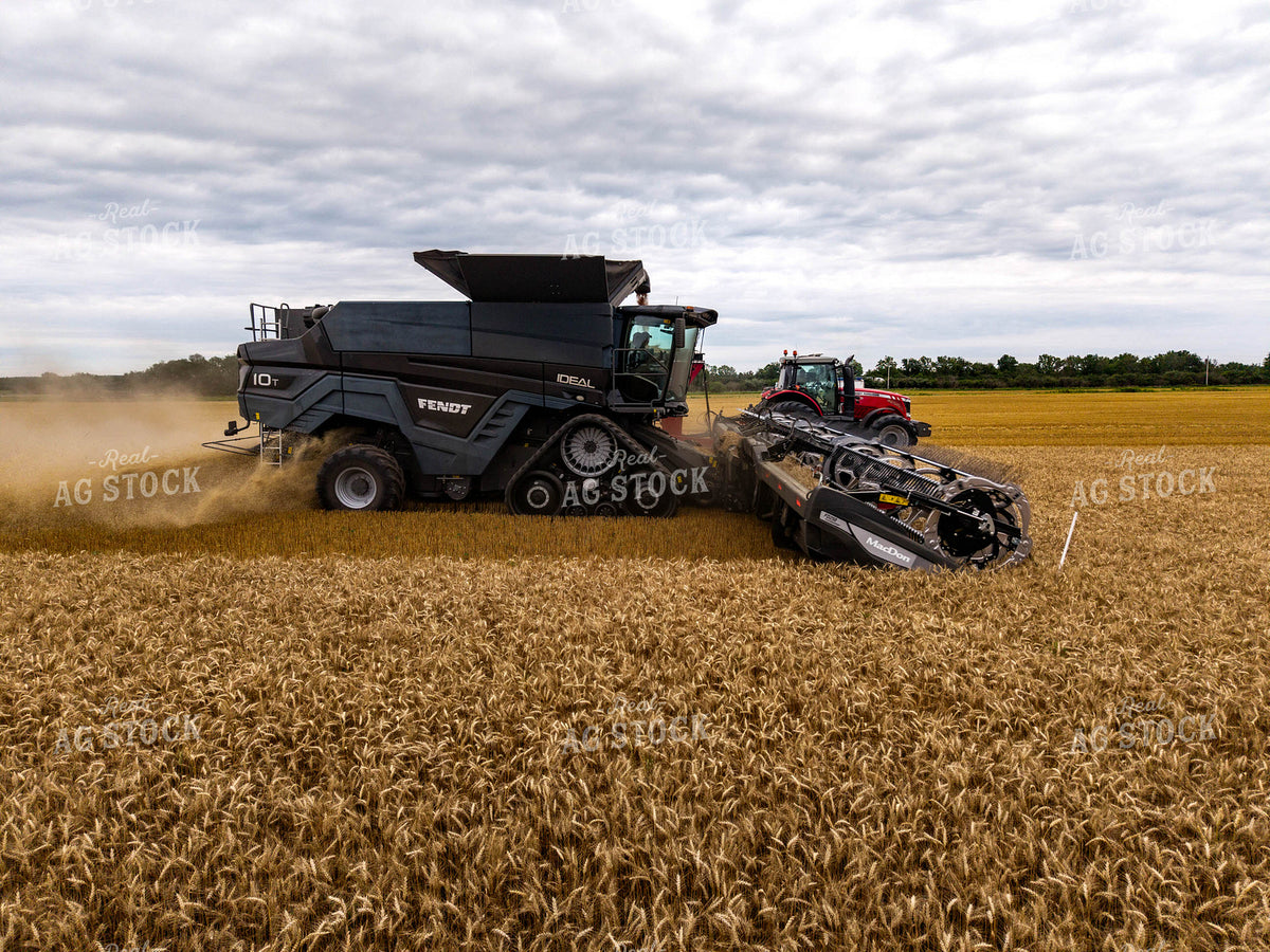 Wheat Harvest 115969