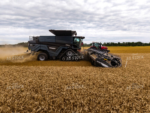 Wheat Harvest 115969