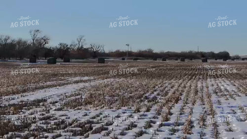 Snowy Hay Field 239158
