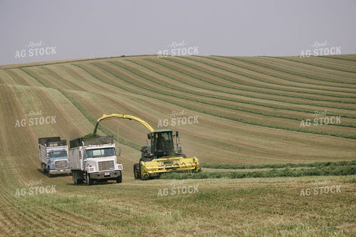 Harvesting Hay Silage 70077