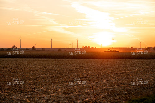 Combine Harvesting Corn at Sunset 25850
