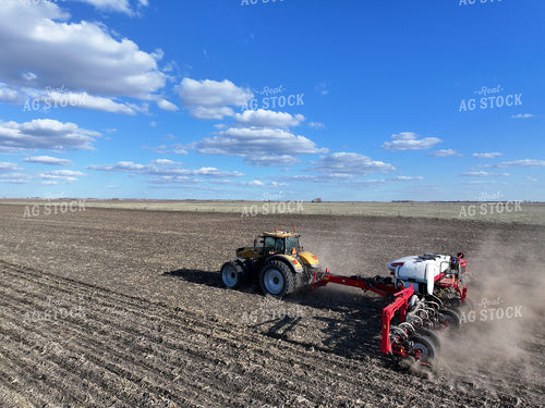 Planting 141110