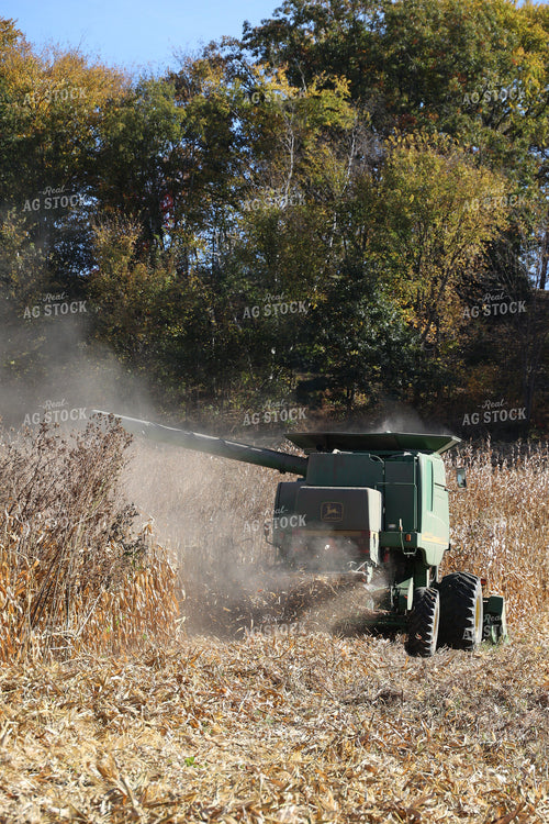 Corn Harvest 194027