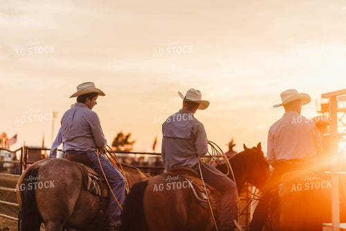 Rodeo 115166