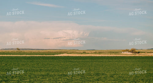 Empty Pasture 61010
