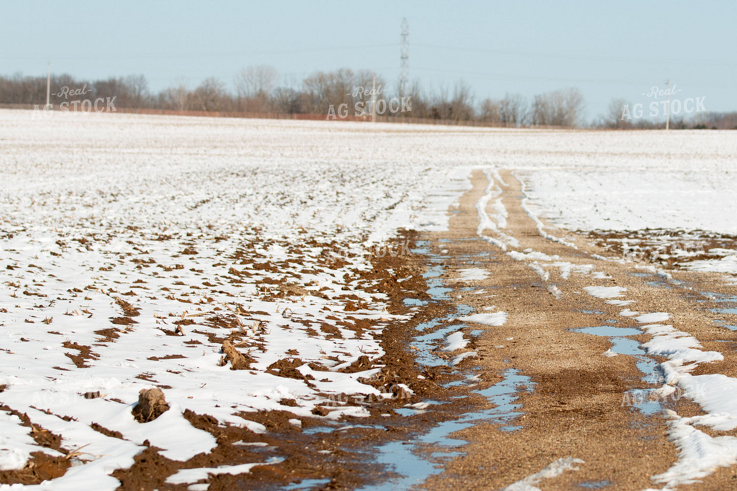 Snow Covered Field 157128