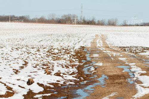 Snow Covered Field 157128