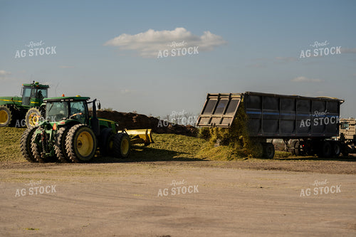 Storing Silage 185186