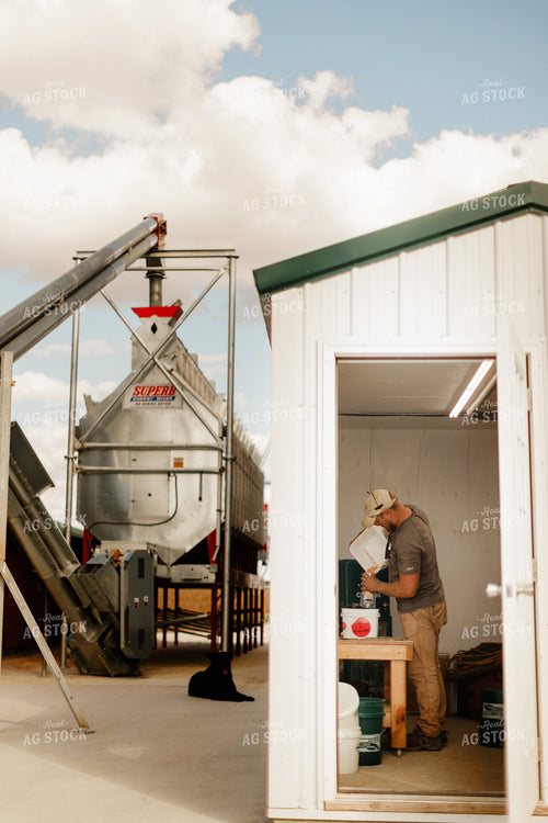 Farmer Checking Moisture of Stored Corn 9331