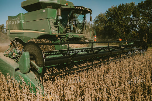 Combine Cutting Soybeans 5235
