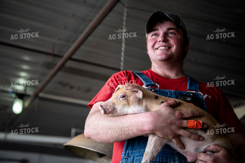 Farmer Holding Piglet 197013