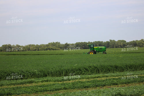 Cutting Hay 82284
