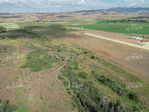 Rural Landscape 122076