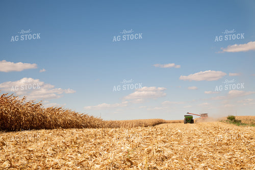 Combine and Grain Cart Harvesting Corn on Sunny Day 25895