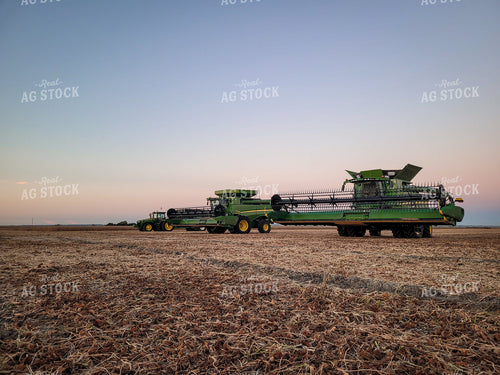 Soybean Harvest 167007