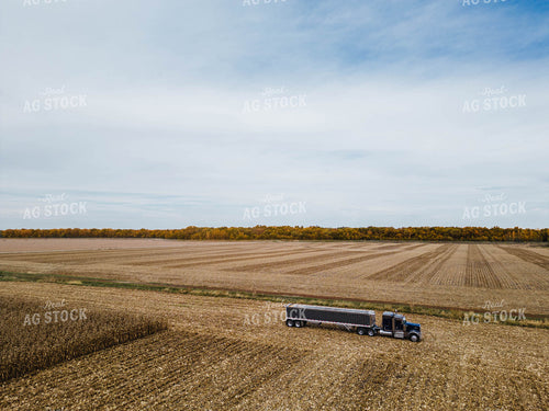 Corn Harvest 115117