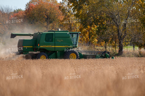 Soybean Harvest 157142