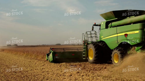 Soybean Harvest 287013