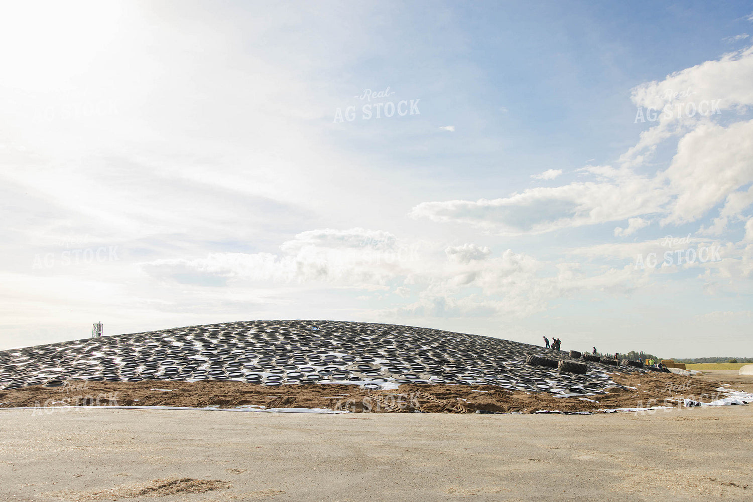 Corn Silage Pile at Dairy Farm 152570