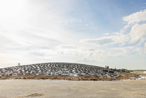 Corn Silage Pile at Dairy Farm 152570