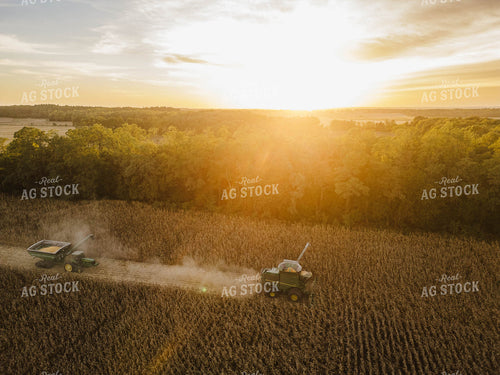 Aerial of Corn Harvest 115389