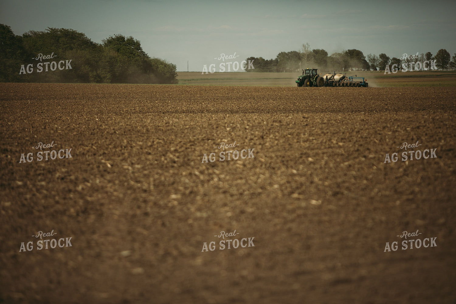 Planting on a Sunny Day 4162