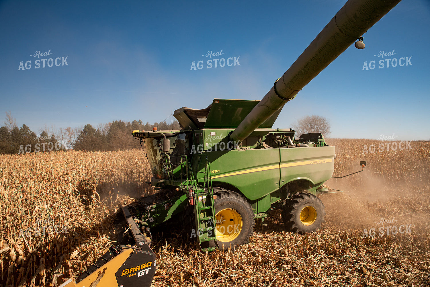 Corn Harvest 76298
