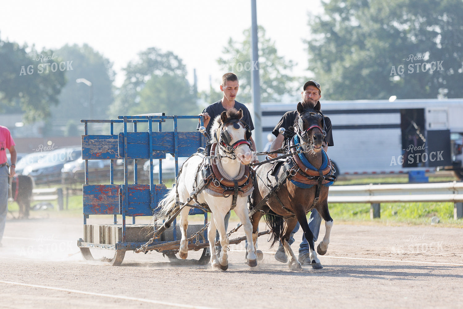Horse Pulling 52894