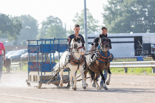 Horse Pulling 52894