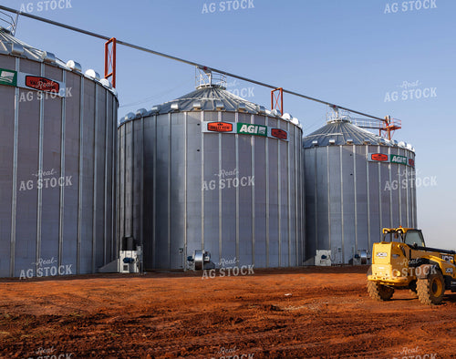Rice Harvest 79380