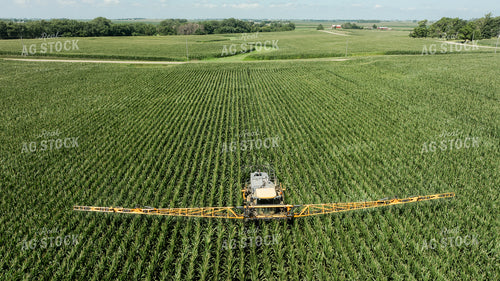 Spraying Corn 274068