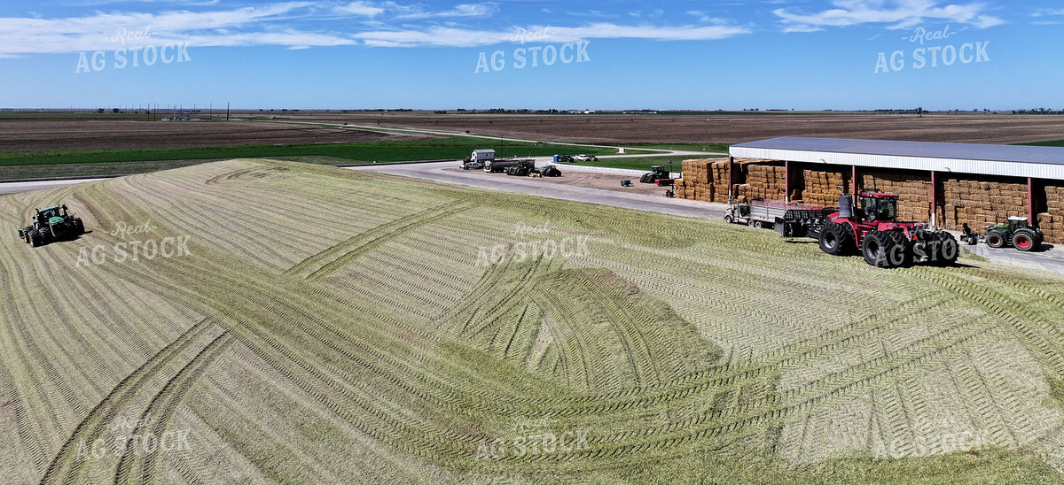 Silage Piles at Dairy Farm 141790