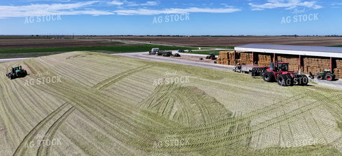 Silage Piles at Dairy Farm 141790