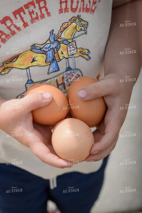 Eggs 151010