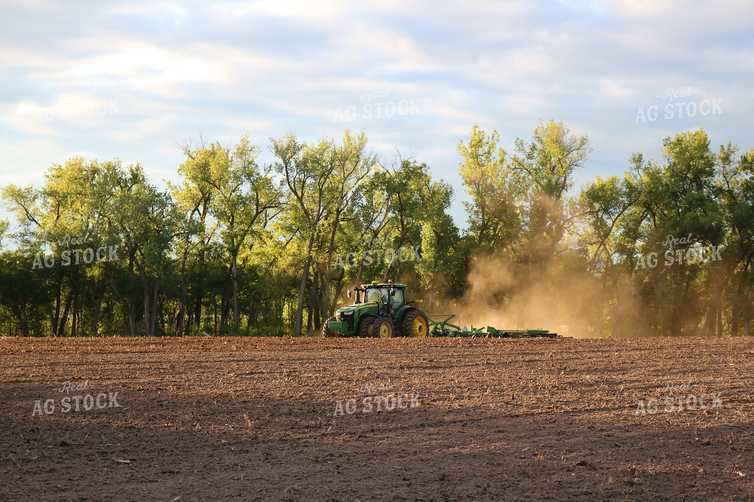 Tractor Pulling Disk 82053