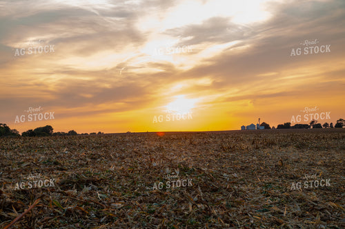 Empty Corn Field Over Sunset 25481
