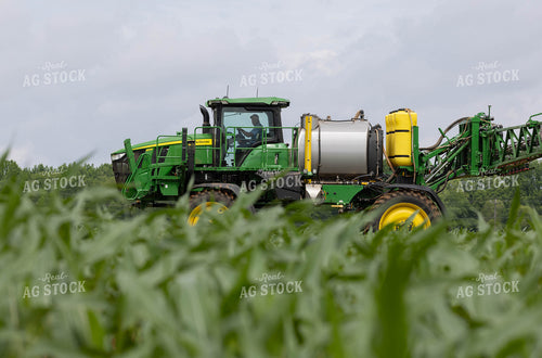 Spraying 79655