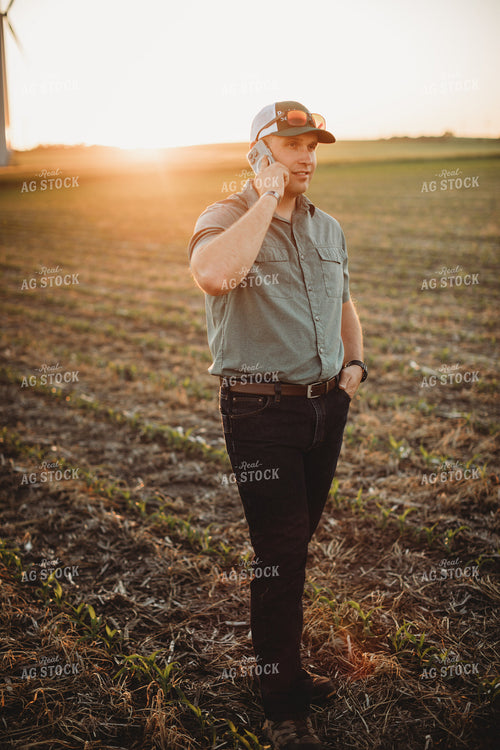 Farmer Agronomist Talking on Phone in Corn and Triticale Cover Crop Field 5922