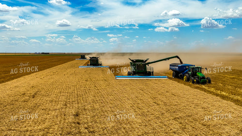 Wheat Harvest 199036