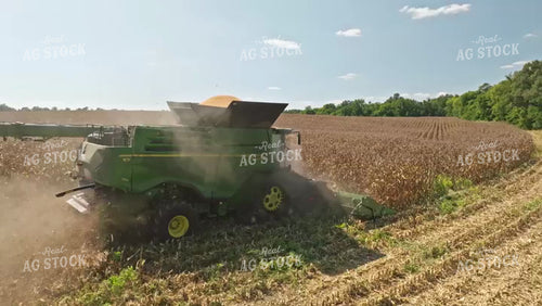 Corn Harvest 92086