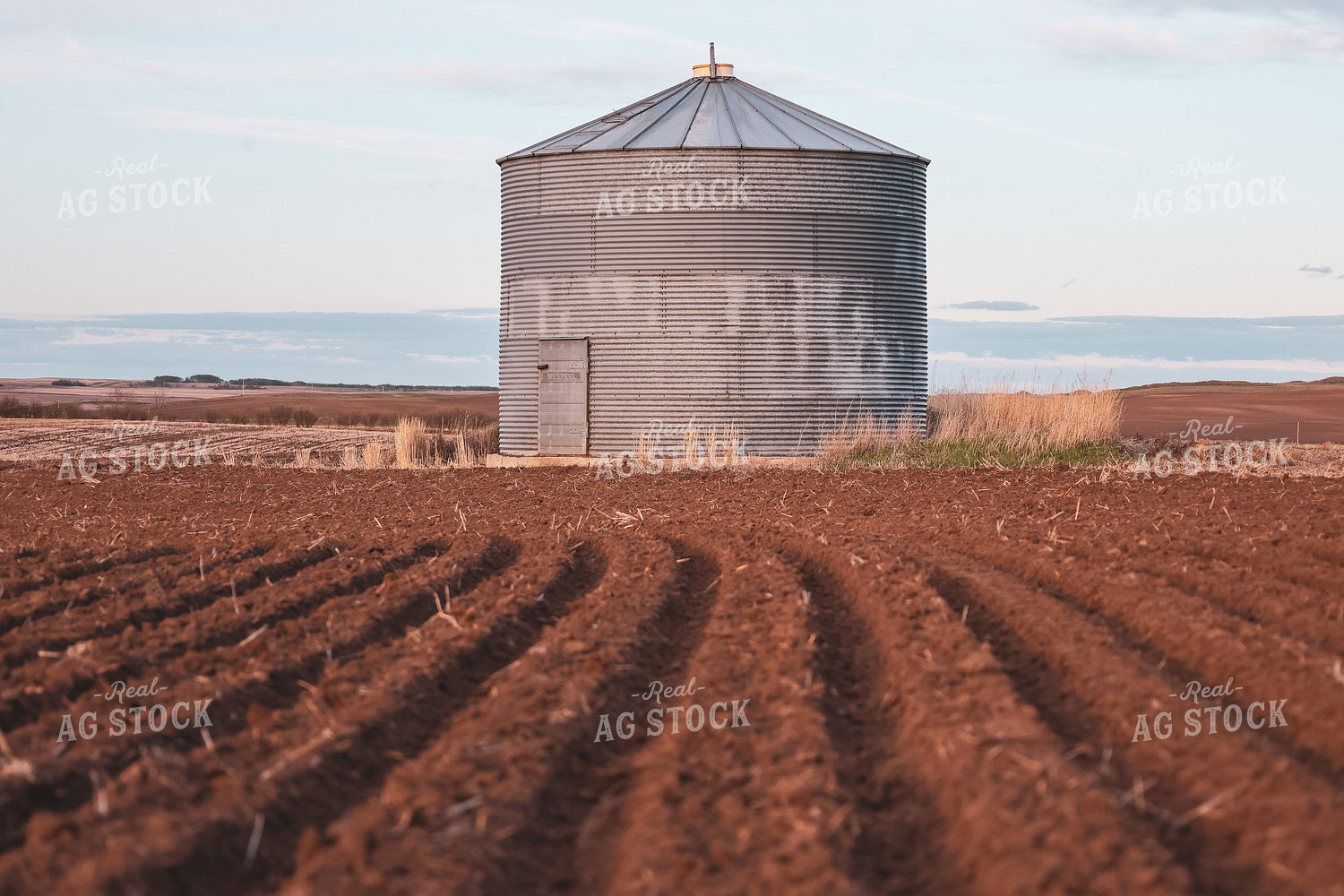 Field Furrow 187024
