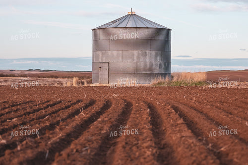 Field Furrow 187024