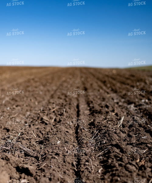 Freshly Planted Soil 185193