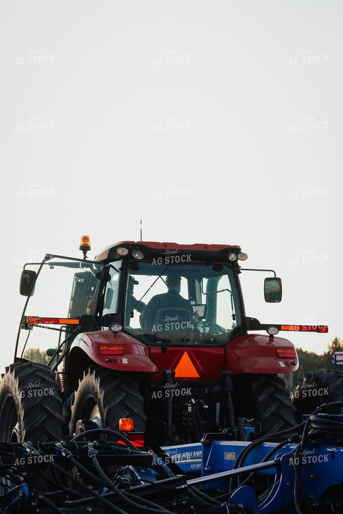 Seeding 83188