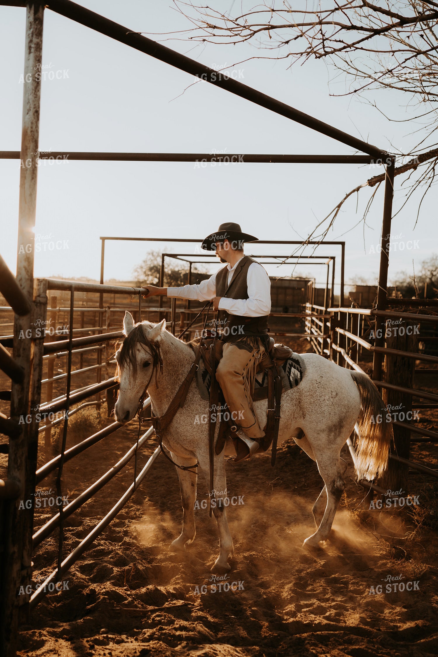 Cowboy on Horseback 61187