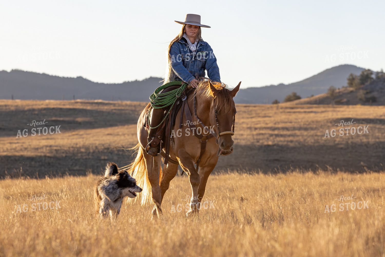 Cowgirl on Horseback 290019